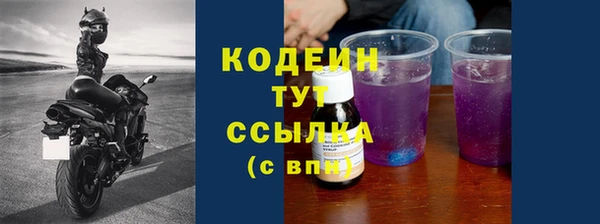 ГАЛЛЮЦИНОГЕННЫЕ ГРИБЫ Козловка
