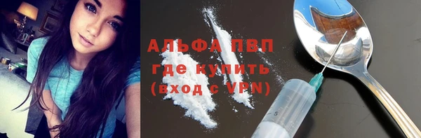 ГАЛЛЮЦИНОГЕННЫЕ ГРИБЫ Козловка