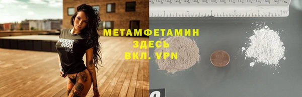 ГАЛЛЮЦИНОГЕННЫЕ ГРИБЫ Козловка