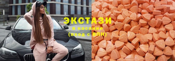 ГАЛЛЮЦИНОГЕННЫЕ ГРИБЫ Козловка