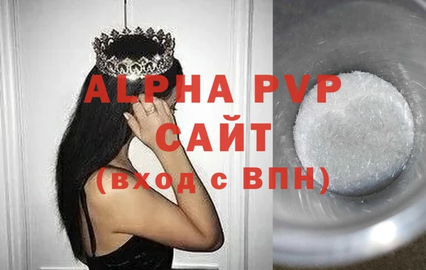 ГАЛЛЮЦИНОГЕННЫЕ ГРИБЫ Козловка
