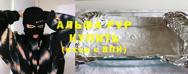 ГАЛЛЮЦИНОГЕННЫЕ ГРИБЫ Козловка