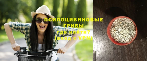 spice Кодинск