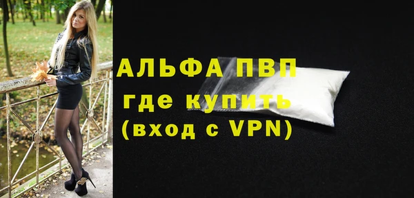 ГАЛЛЮЦИНОГЕННЫЕ ГРИБЫ Козловка