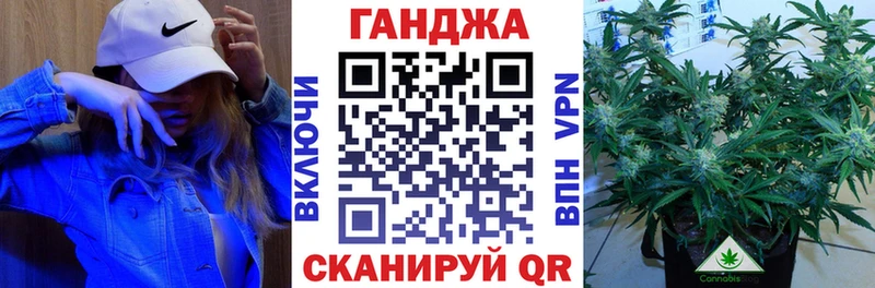 Бошки марихуана SATIVA & INDICA  Купить где  Курильск 